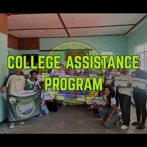 COLLEGE ASSISTANCE PROGRAM